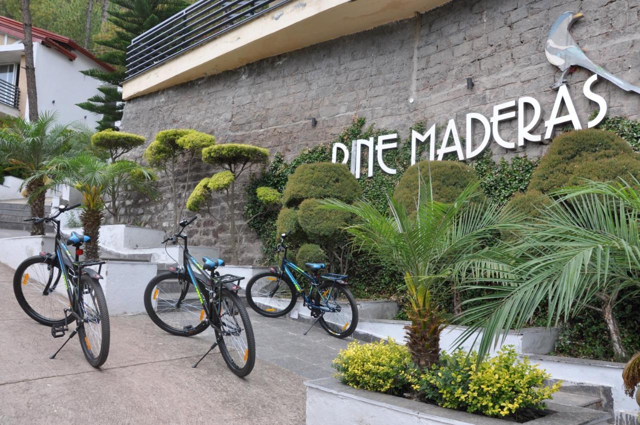 Pine Maderas By Embrace Apartment กัสซอลี ภายนอก รูปภาพ