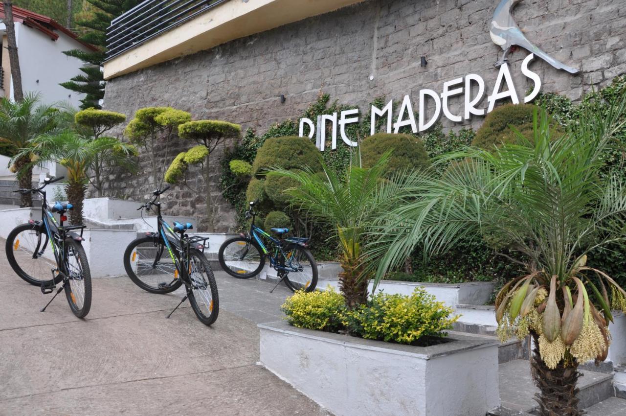 Pine Maderas By Embrace Apartment กัสซอลี ภายนอก รูปภาพ